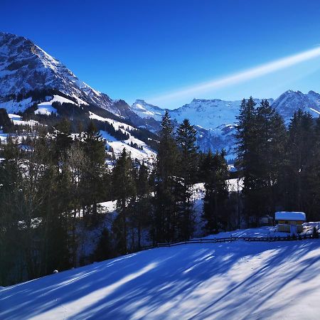 Ferienwohnung Crea Adelboden Bagian luar foto